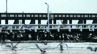 BRISA - Perfect World