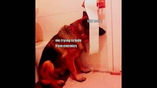 Phantom Forces Meme Awards v3