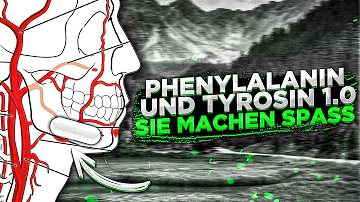 Was macht Phenylalanin im Körper?