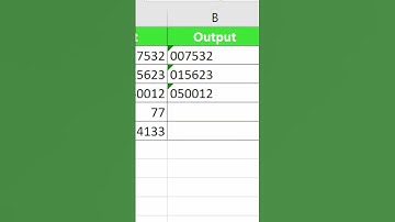Add Leading Zeros in Excel | Excel Tips and Tricks | #shorts