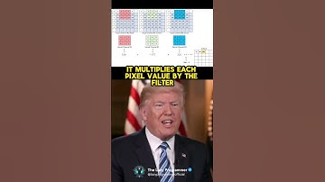 🤖Convolutional Neural Networks (CNNs) by #andrewtate and #donaldtrump