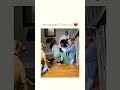 Dogs Doing The Dumbest Dogdog Dogs Funny Entertaininganimals Dogbreed Dogfunny Pets Dogs Doing The Dumbest Dogdog Dogs Funny Entertaininganimals Dogbreed Dogfunny Pets