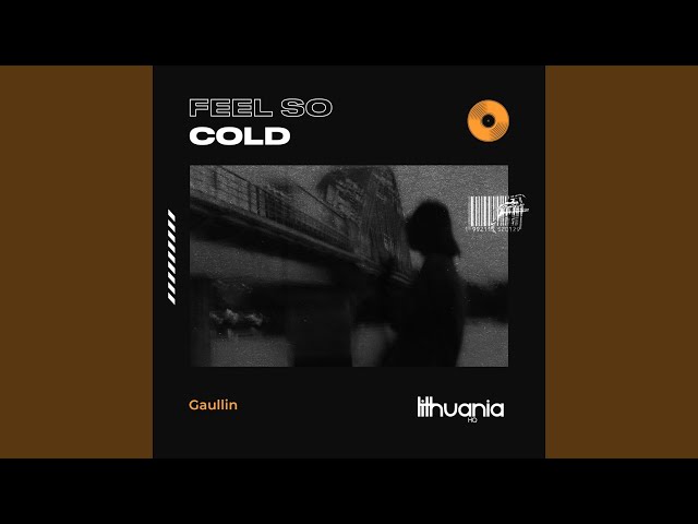 Gaullin - Feel So Cold