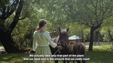 BiH ESAP 2030+: Gea Heal (ENG)