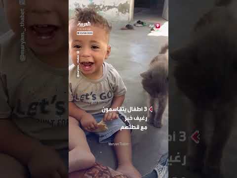 أطفال غزة يتقاسمون الخبز مع قطتهم في مشهد عفوي