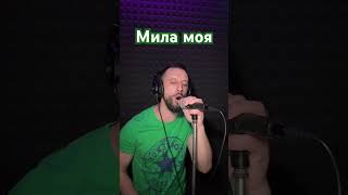 Мила Моя - Володимир Івасюк (Sergiy184) Cover