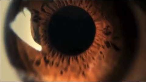 Interceptor -The Last People