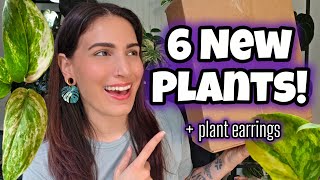 6 NEW SCINDAPSUS!! + New Plant Earrings 🪴 Houseplant Unboxing 🦇