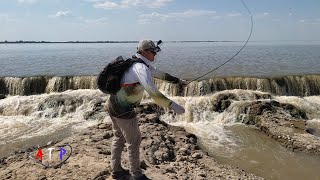 Pescamos En San Fabian En La Cascada Con El Guia Sergio Galvan