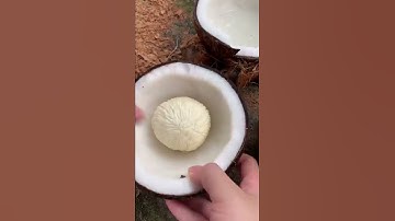 Mọng Dừa Tuổi Thơ ai còn nhớ nè