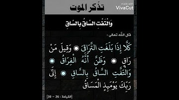 حالات واتس آب دينية ||الشيخ إدريس ابكر ماتيسر من سورة القيامة.. ''😔✨