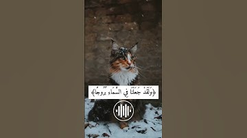 تلاوة خاشعة يخشع له القلب للقاري الشيخ هزاع البلوشي أيات من سورة الحجر﴿16﴾أجمل ماسمعت🤲🌺🍒❄️💦👌🍒
