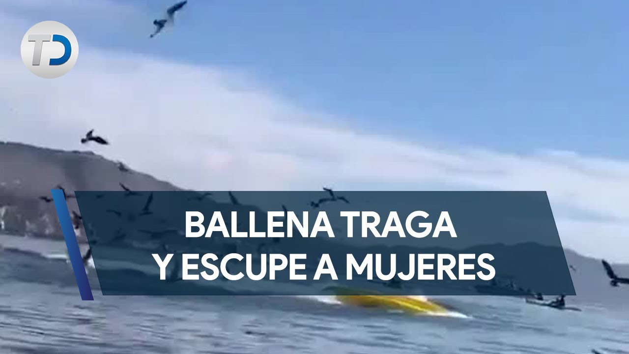 ⁣Mujeres fueron tragadas y escupidas por ballena