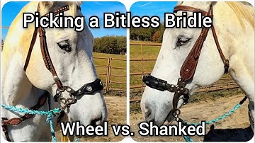 Picking a Bitless Bridle - Comparison between shanked hackamore and wheel hackamore