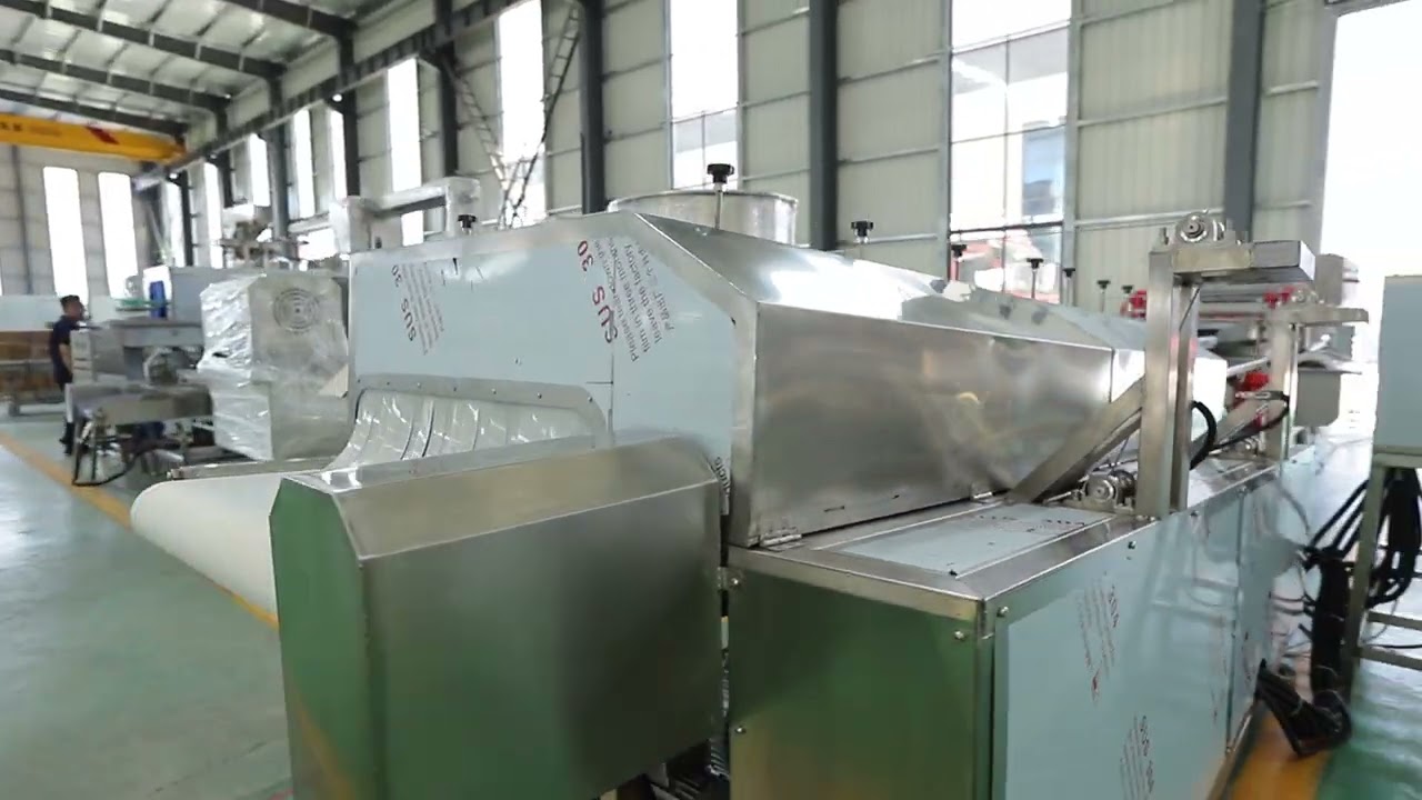 LONKIA Automatic Vegetable & Fruit Cutting Washing Production Line, Salad Vegetable Processing Line