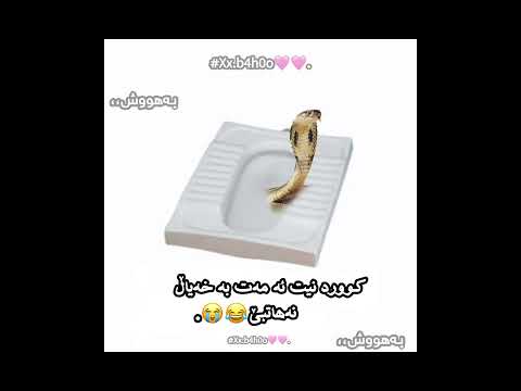 ڕێکک اکتیڤ بن  40      