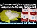 Mozzarella cheese prepared done by Aavin Milk packets//Mozzarella cheese making in Tamil