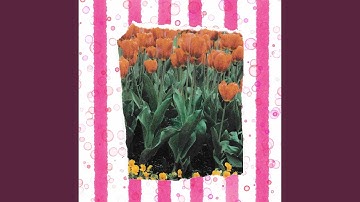 Background for Infinite Hideaways