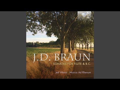Παρακολούθηση Flute sonata terza in D Minor, Op. 1: II. Corrente στο YouTube