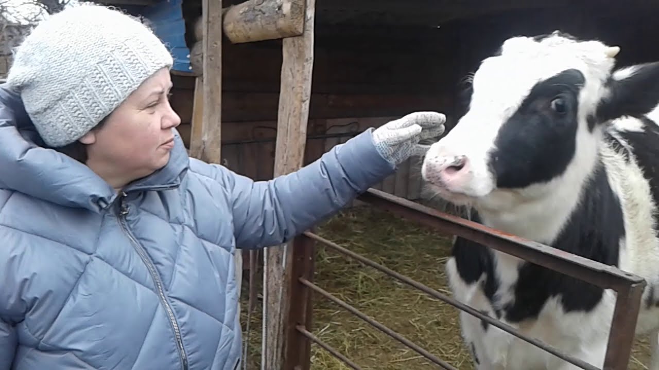 Izzadás a férgek jeleként - Gyermekek és a paraziták | Mik a fertőzés okai.