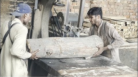 The monster log sawmill terrible full of beauty @ASMRWOODCRAFT