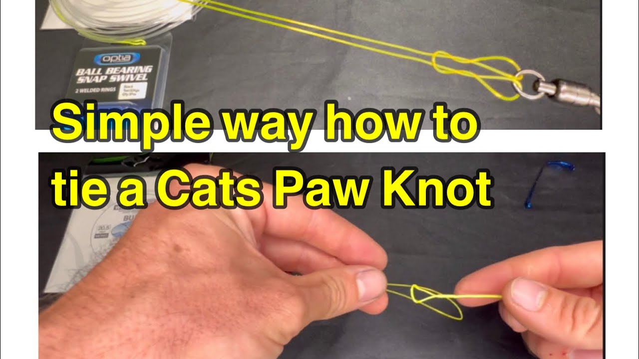 How to attach a Snap Swivel or Wind on to a double leader using a Cats Paw  Knot. 