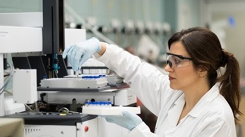 Shoeleh - Waterloo Graduate Studies Profile