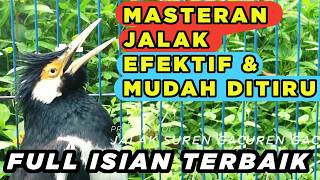 Burung Jalak Suren  Tembakan Mewah Gacor  Isian Suara Unik Kreasi