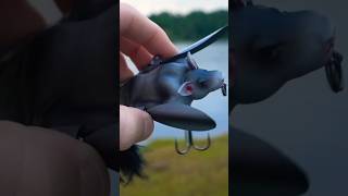 Catching A Fish With A Realistic BAT Lure! 