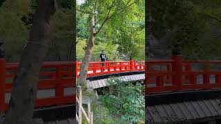 Japan vlog