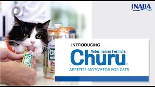 About Churu Veterinarian Formula