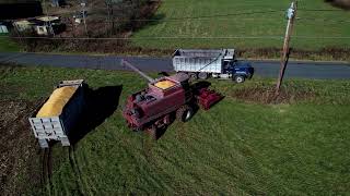 Corn Harvesting - Barnesville, PA screenshot 5