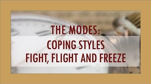 THE MODES: Coping Styles