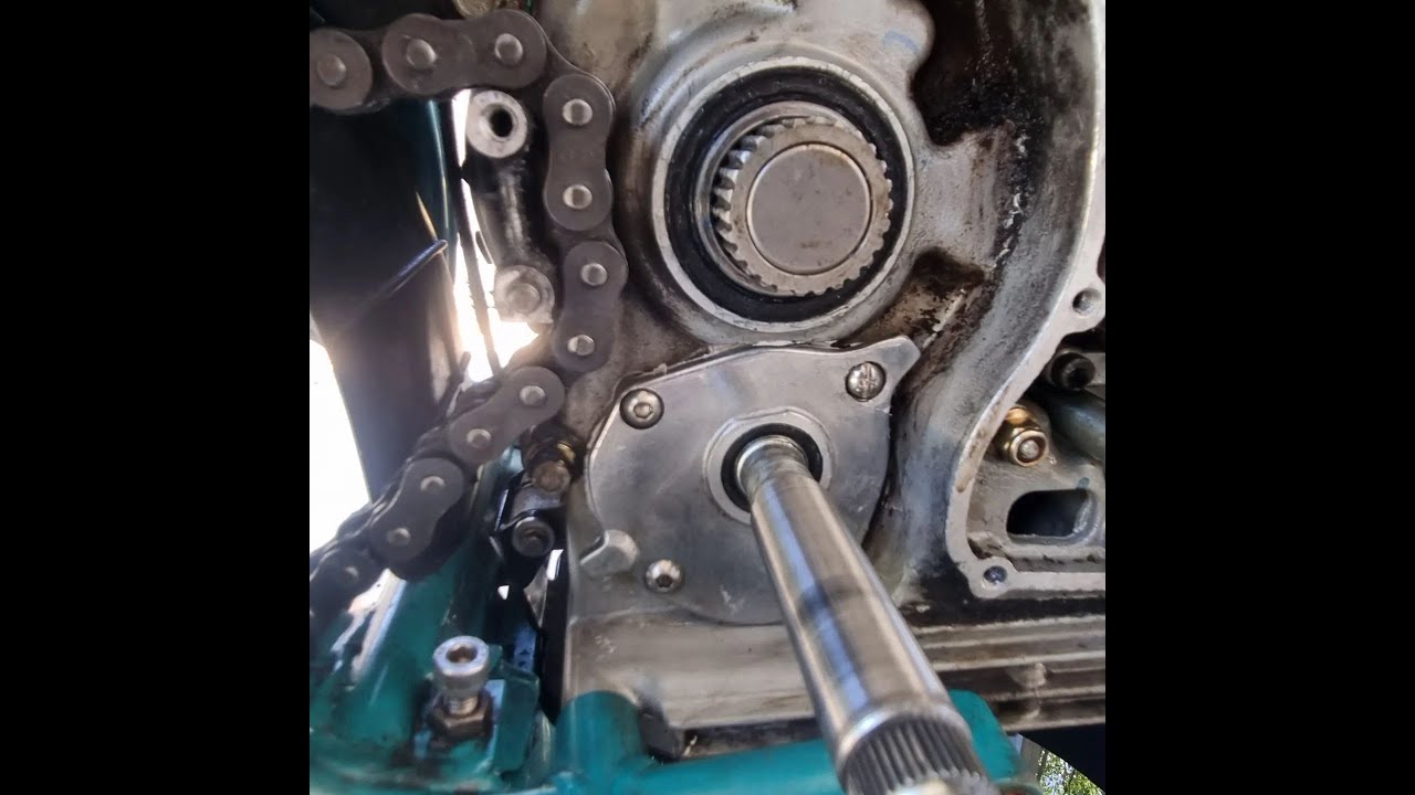 DugDug idling after replacing kick start seal and drive seal.