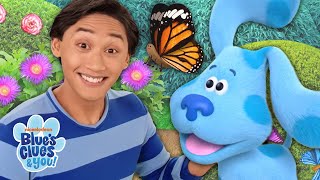 Butterfly Blue Skidoo Blues Clues You