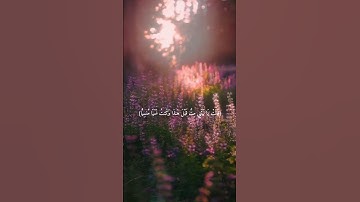 سورة مريم || القارئ الشيخ ماهر المعيقلي #ماهر_المعيقلي #تلاوات_الحَرَم