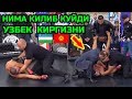 Киргизистон  Узбекистон   Новый БОЙ ММА