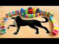 Making a Giant Dog Pit with Cement, Big Coca Cola, Crush, Monster, Pepsi vs Mentos & Popular Soda