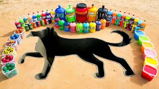 Making a Giant Dog Pit with Cement, Big Coca Cola, Crush, Monster, Pepsi vs Mentos & Popular Soda