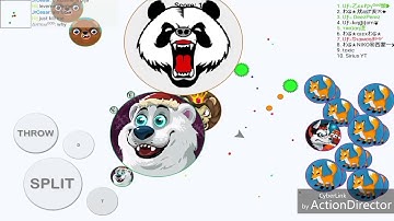 / INSANE POPSPLIT / UNCUT WITH UF CLAN / BLOBS FIRST CLANWAR? / UF VS DS / BLOB.IO /