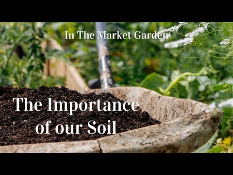Plotting for the Future - Soil Health in an Organic Market Garden