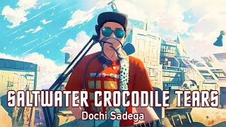 Video thumbnail of "Dochi Sadega - Saltwater Crocodile Tears"