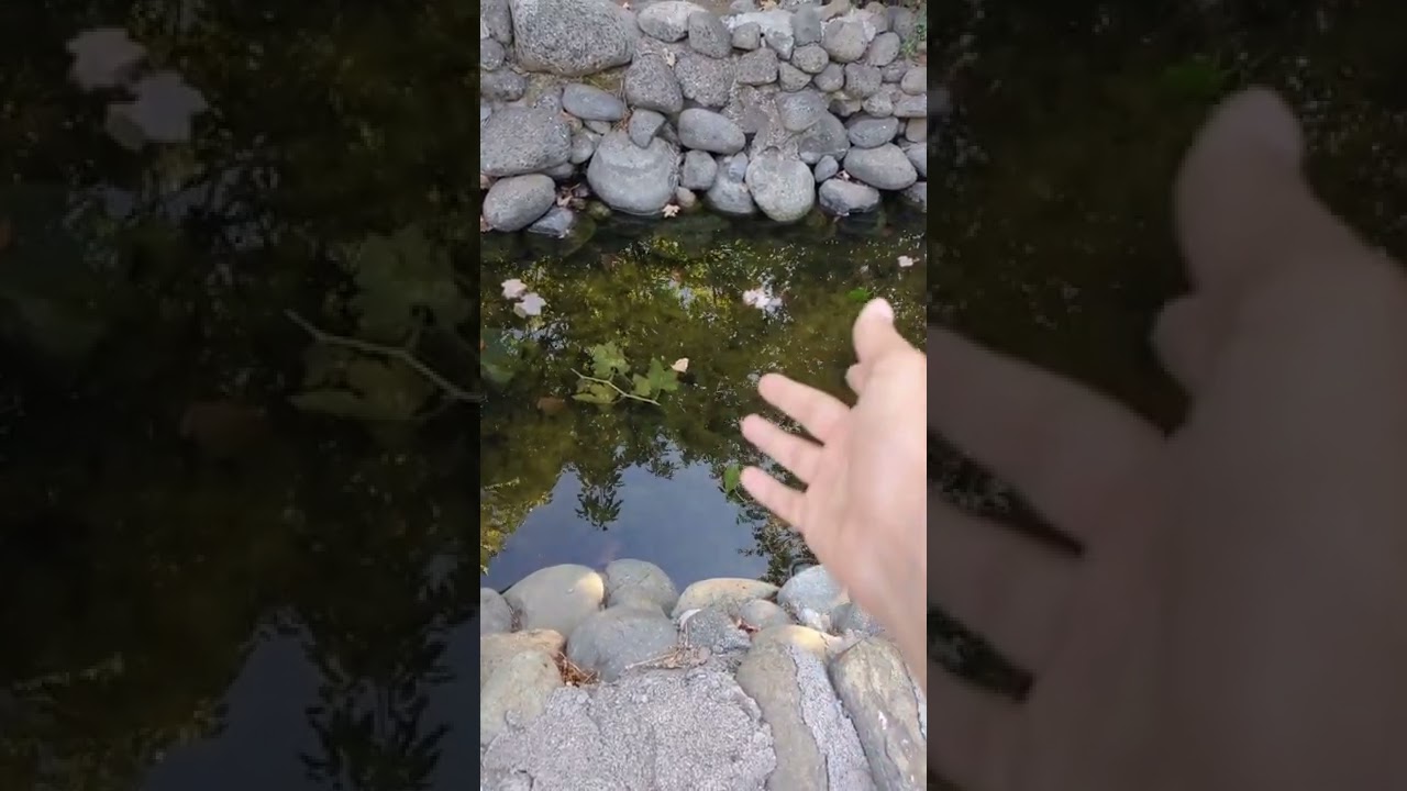 Aerokinesis Outside. YouTube