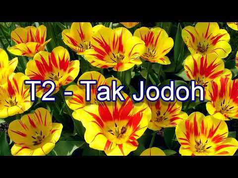 Tak Jodoh - Govinda feat Tiwi