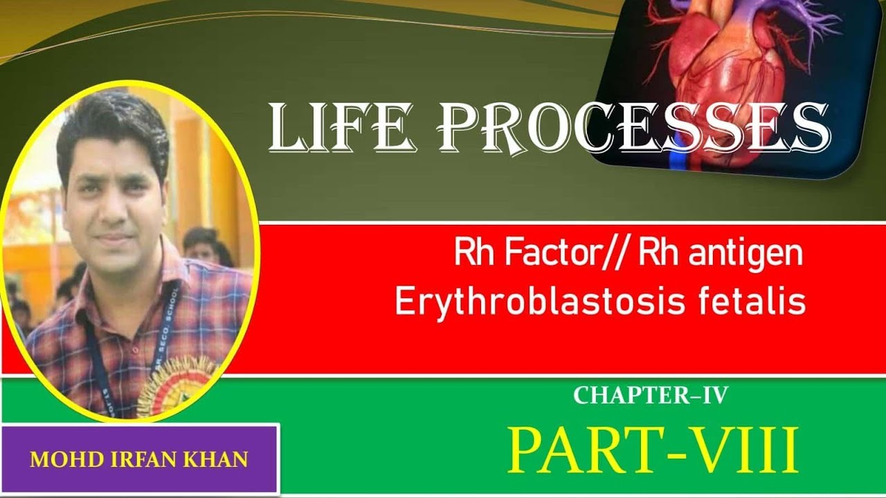 Rh factor and Erythroblastosis Fetalis