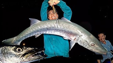 Episode 1: Conquering the Giant Fanged Barracuda