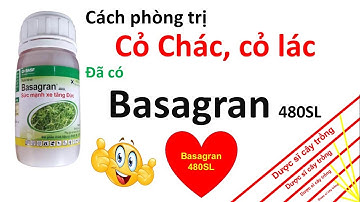 Bạn có biết thuốc nào trừ cỏ chác, cỏ lác hiệu quả? | BASF | Thuốc trừ cỏ | Duoc si cay trong