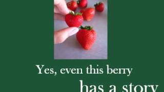 Traceability Matters