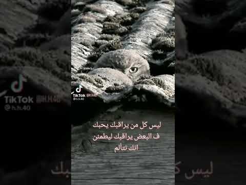 ليس كل من يراقبك يحبك