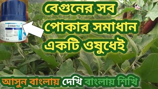 বেগুন চাষ পদ্ধতি /বেগুন চাষ /বেগুনের রোগ এবং ওষুধ /volium flexi/ @farmingadviseranathhalder7579 screenshot 3